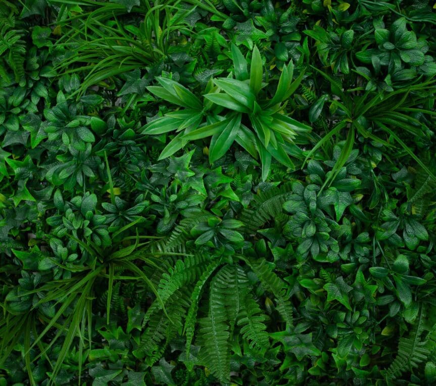 Environment
